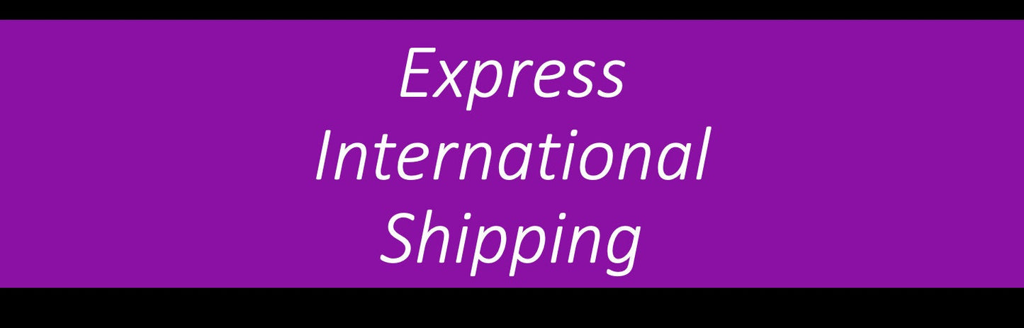 EXPRESS INTERNATIONAL SHIPPING